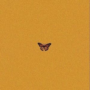 Meet your Posher, Eva